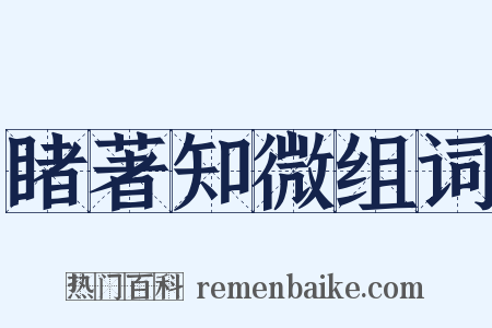 睹著知微组词是什么意思的图片